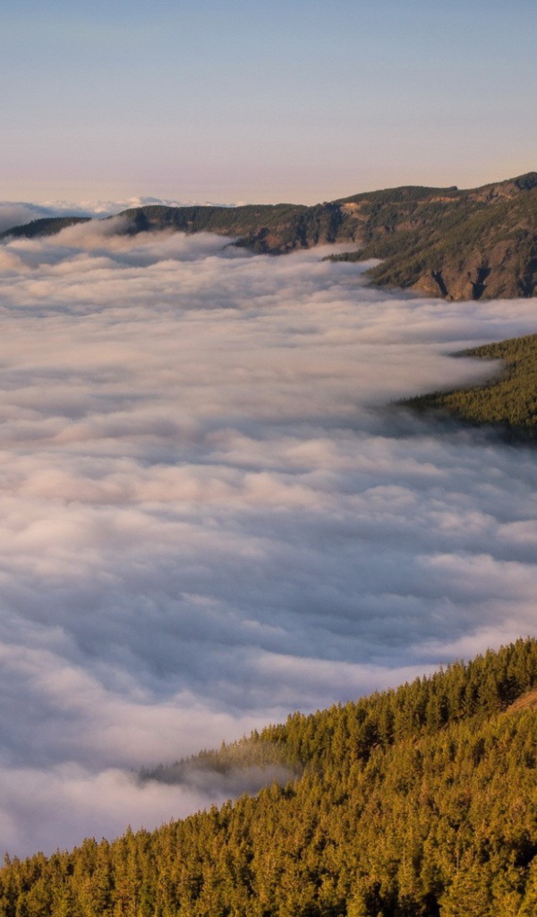 Туман в долине