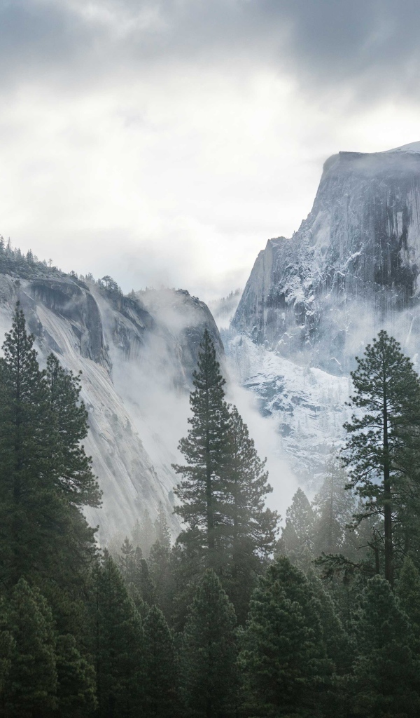 Туман на покрытой снегом горе