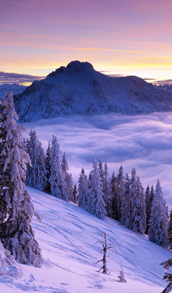 Волшебный зимний пейзаж в горах