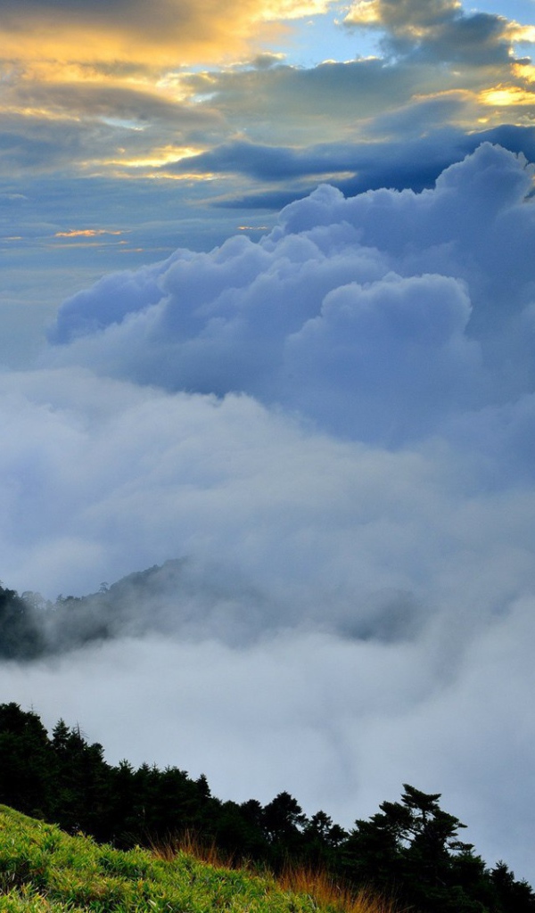 Горная долина скрыта облаками