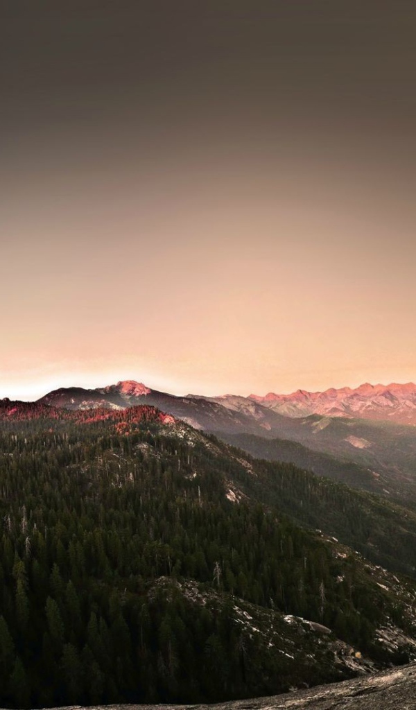 Поросшее хвойным лесом плоскогорье