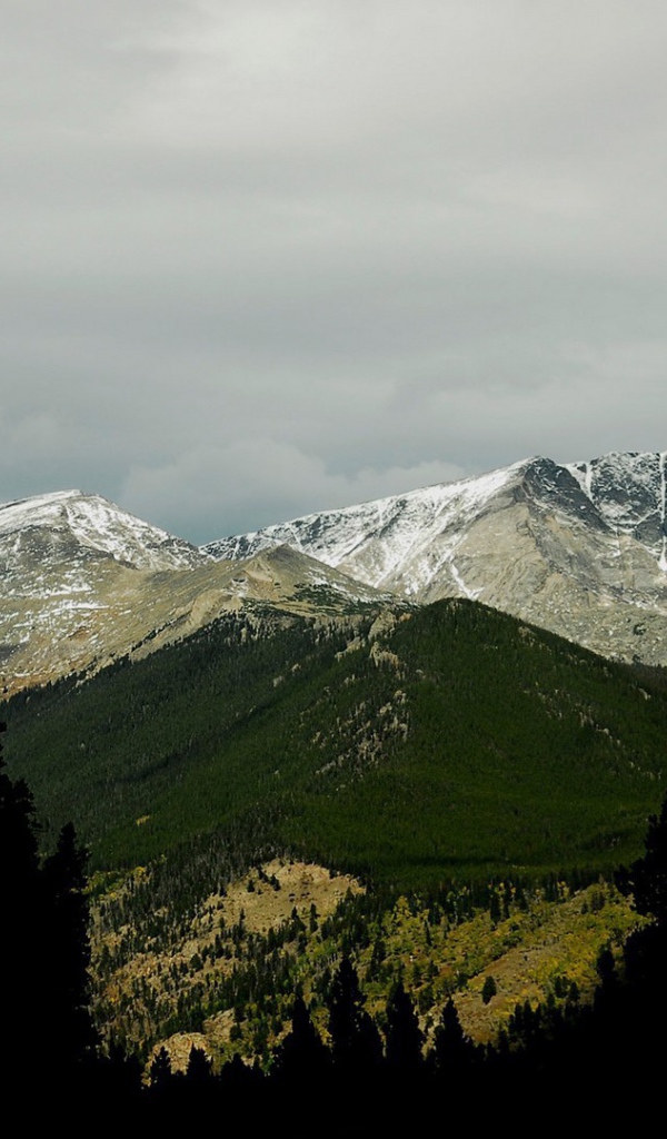 Фото гор среди деревьев