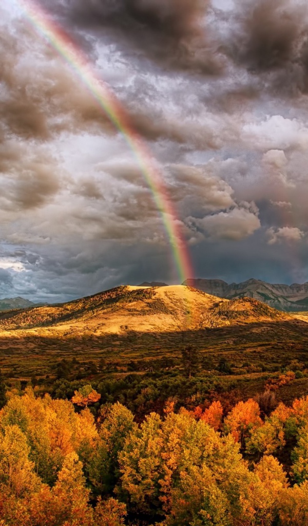Радуга над лесом в горах