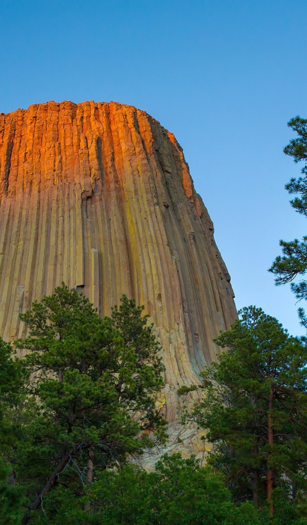 Скала с вертикальными бороздами