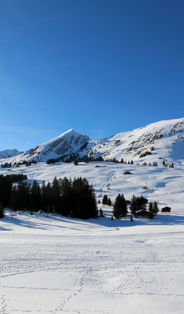 Лыжная трасса в горах