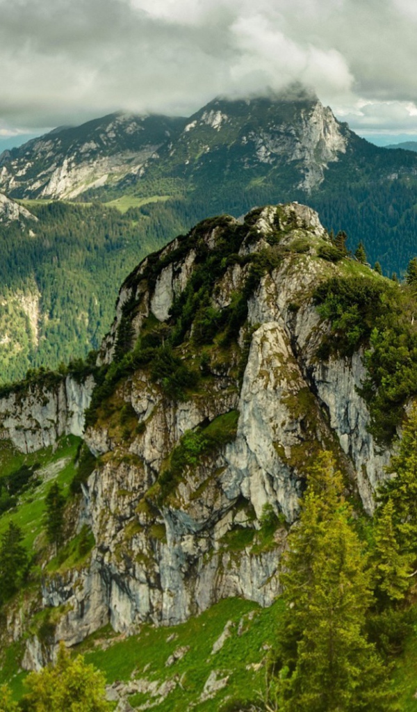 Каменная гора поросла лесом