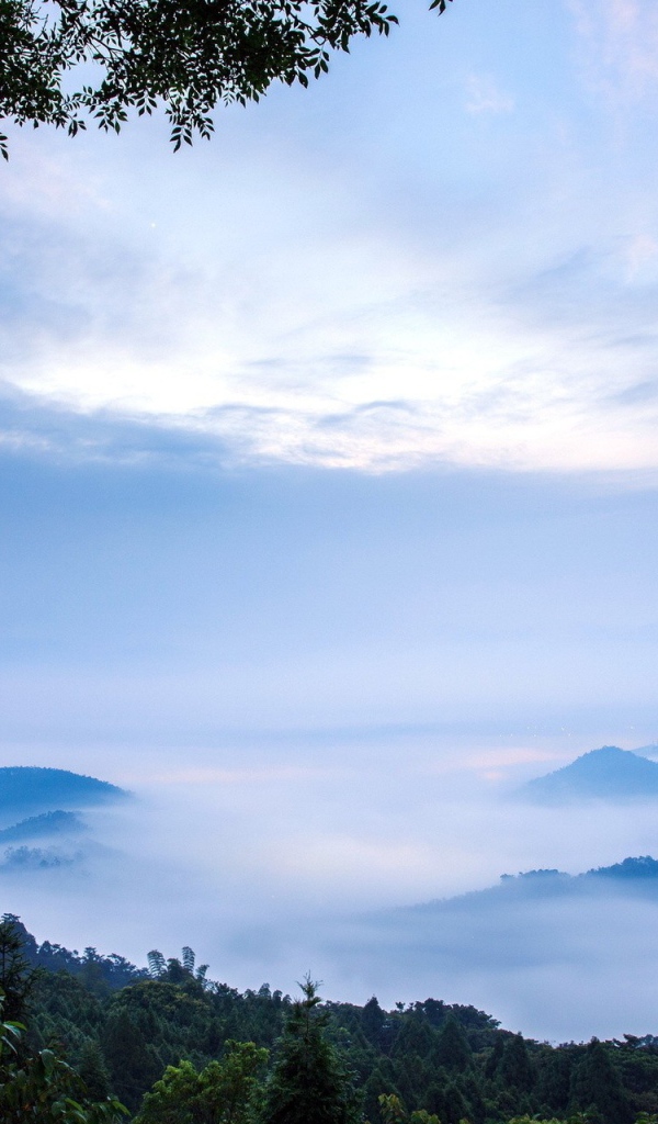 Густой туман в горах