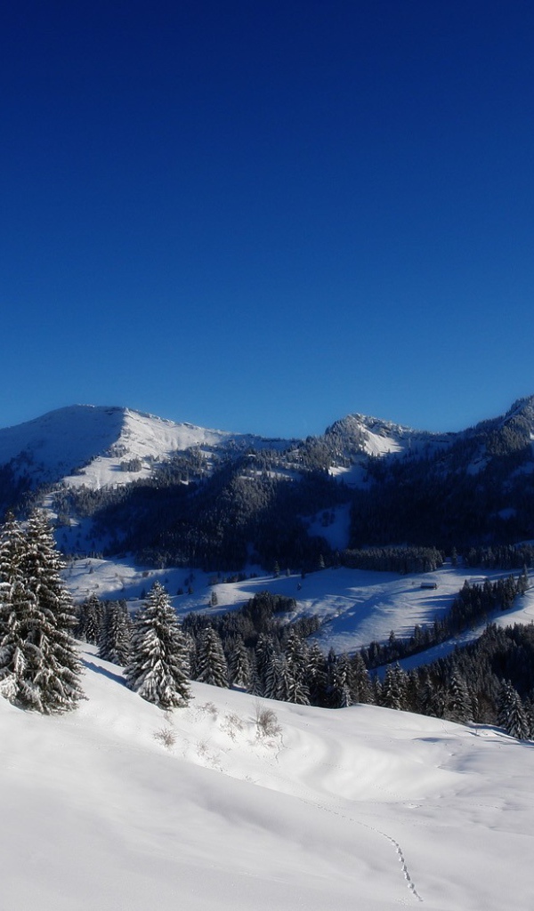 Зима в Альпах