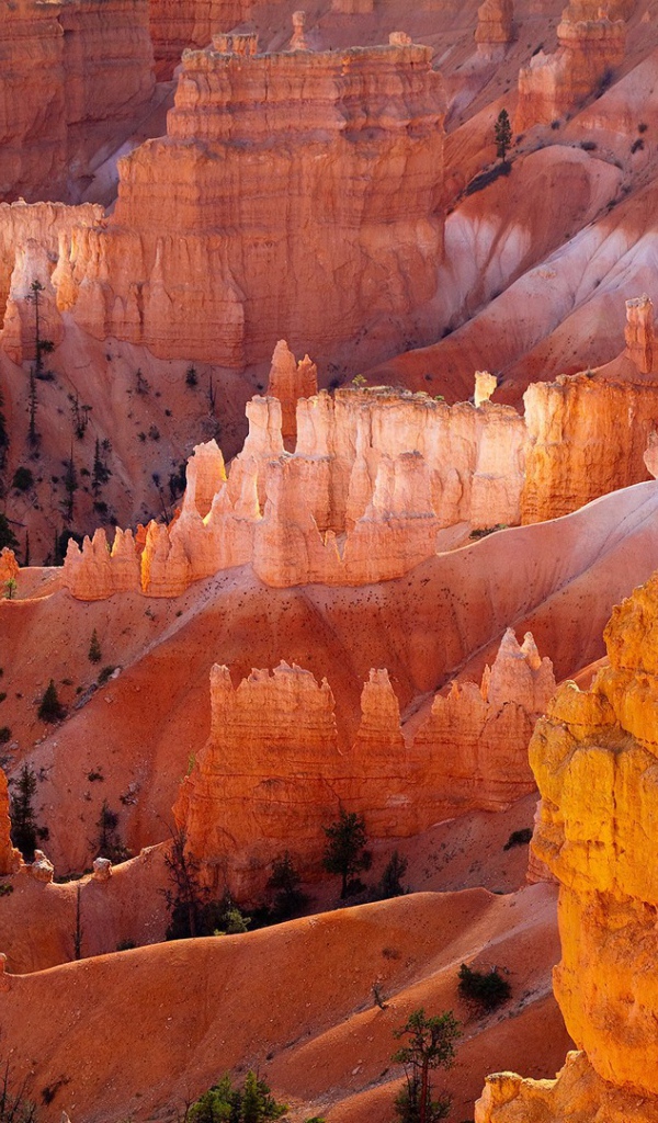 Желтый скалистый каньон