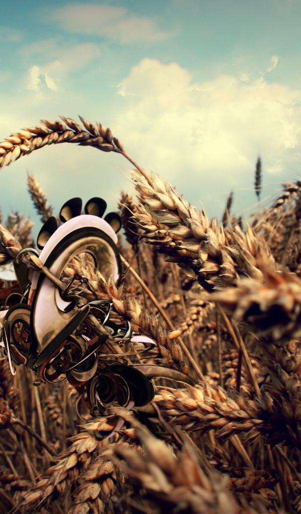 Робот в пшеничном поле