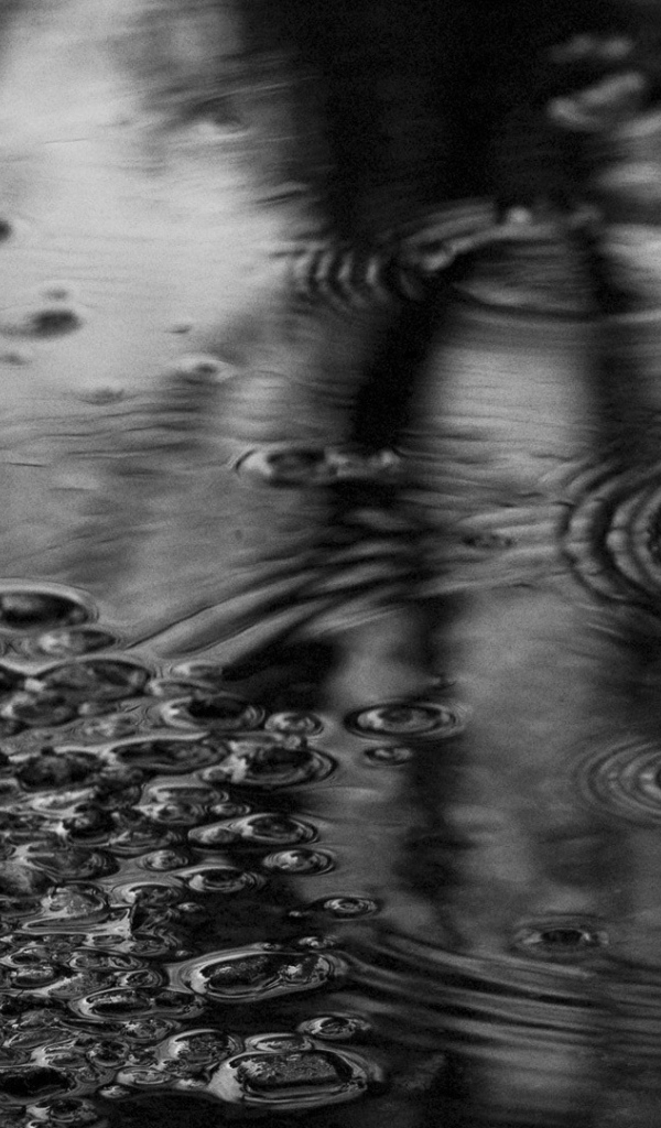 Черно белое фото лужи после дождя