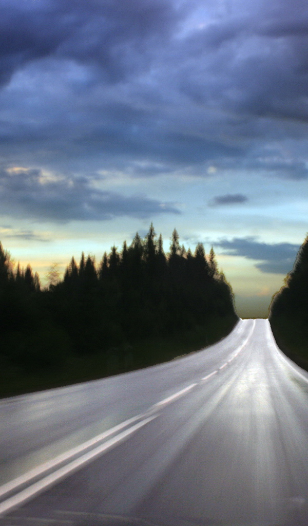 Блестящая дорога