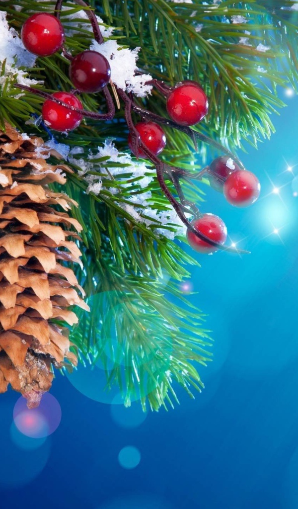 Шишки и ягоды на хвойном дереве