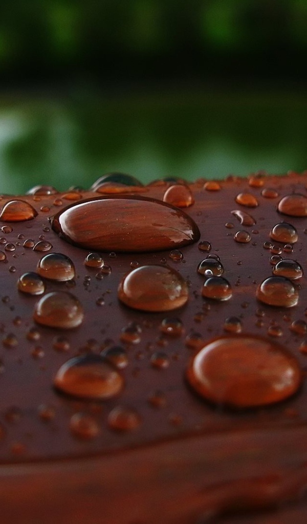 Капли влаги на коричневой поверхности