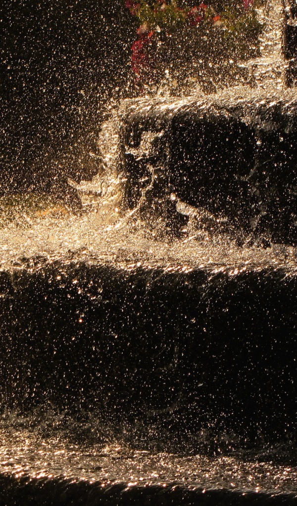 Ливень на ступенях