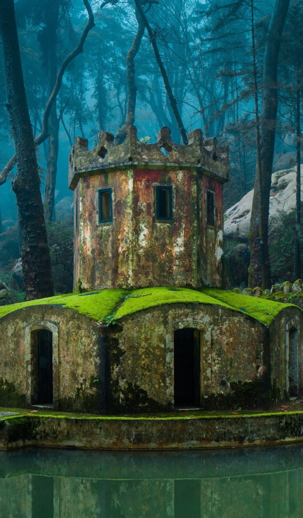 Покрытая мхом каменная беседка у воды