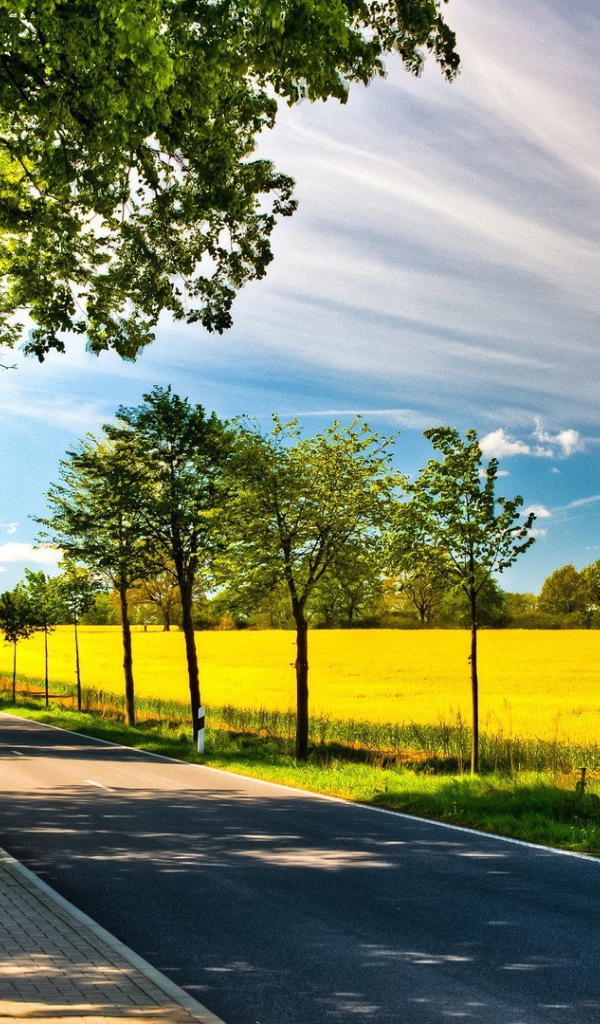 Аккуратная дорога по краю желтого поля