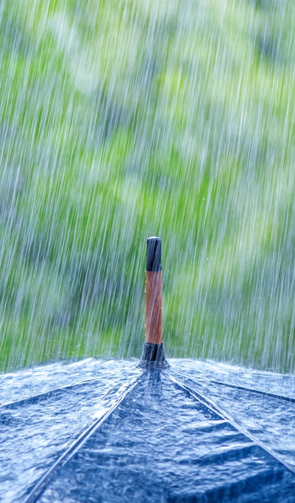 Дождь льется на черный зонт