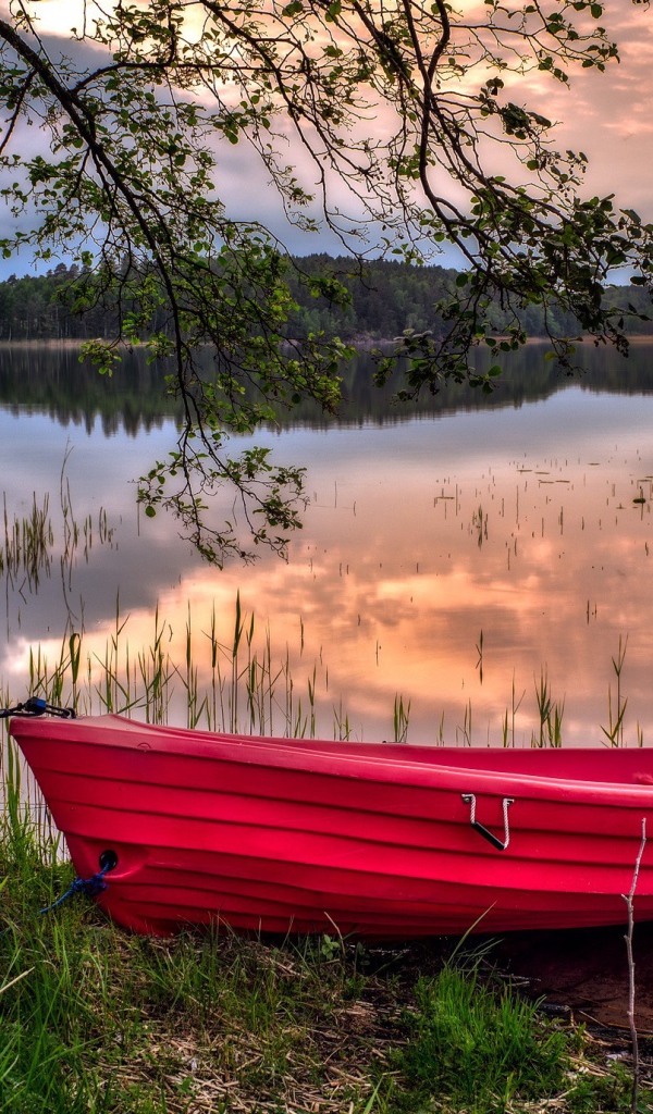 Красная лодка на берегу водоема