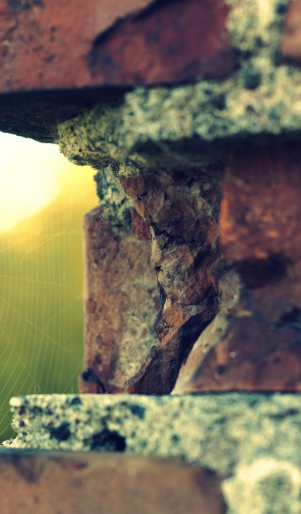 Паутина в выемке кирпичной кладки