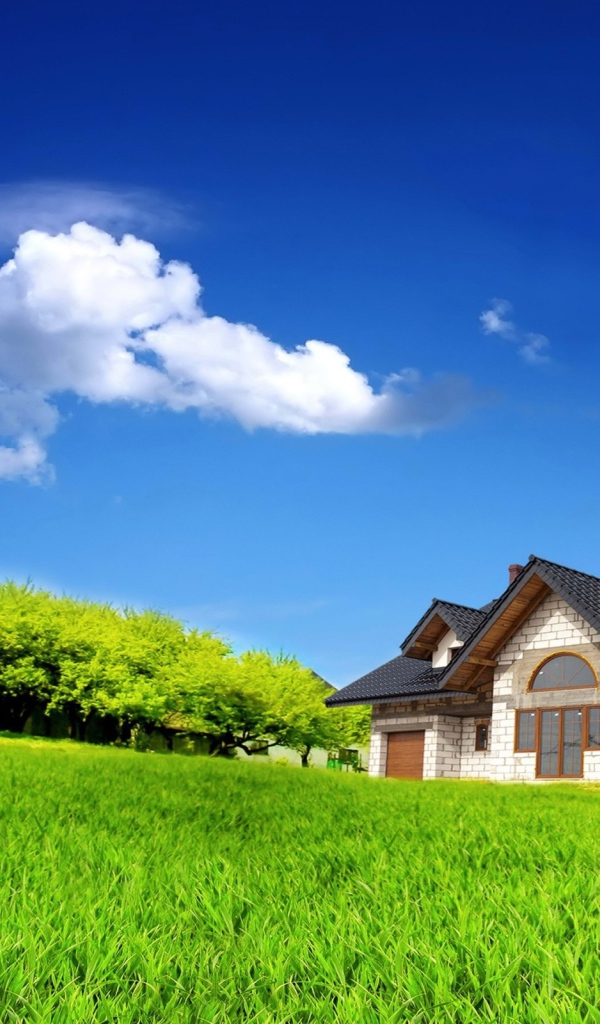 Ветряк у дома в поле