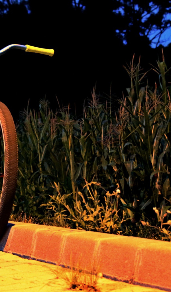 Желтый велосипед у обочины