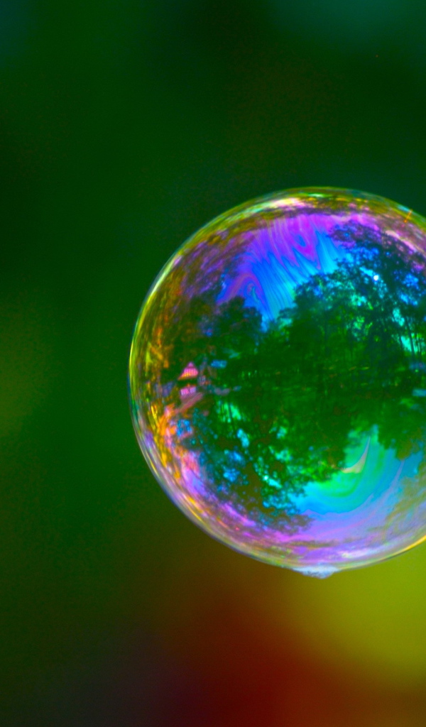 Природа в капле