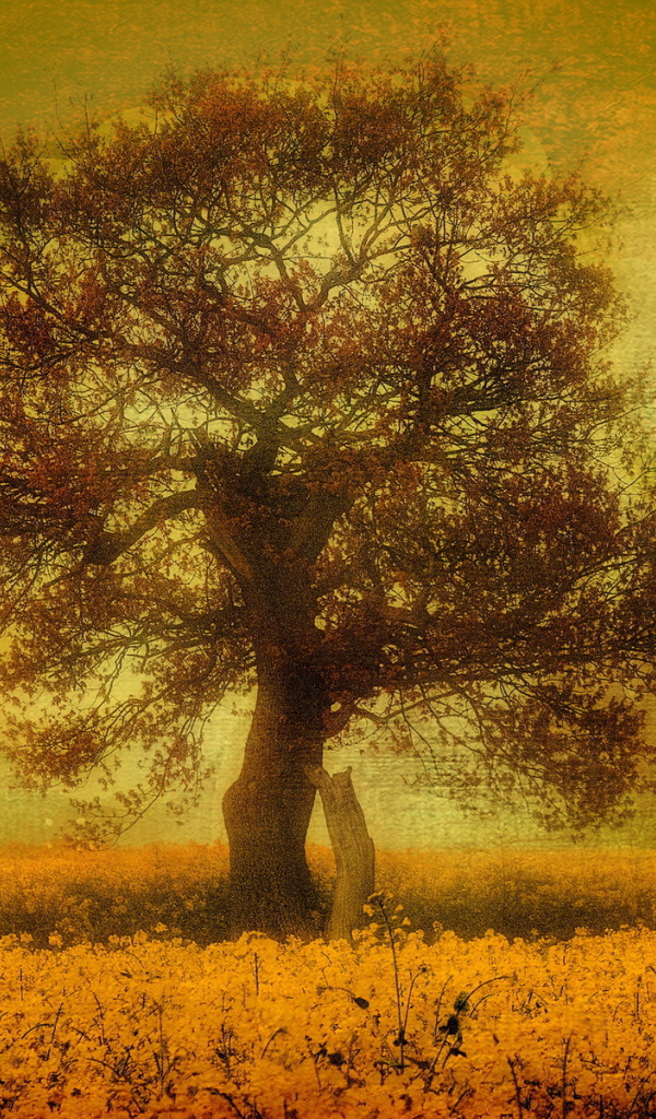 Птицы над одиноким деревом