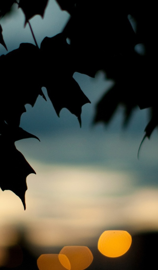 Черные силуэты кленовых листьев