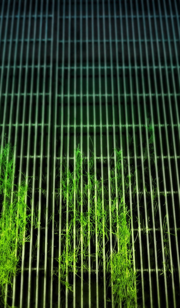 Растения пробиваются сквозь решетку