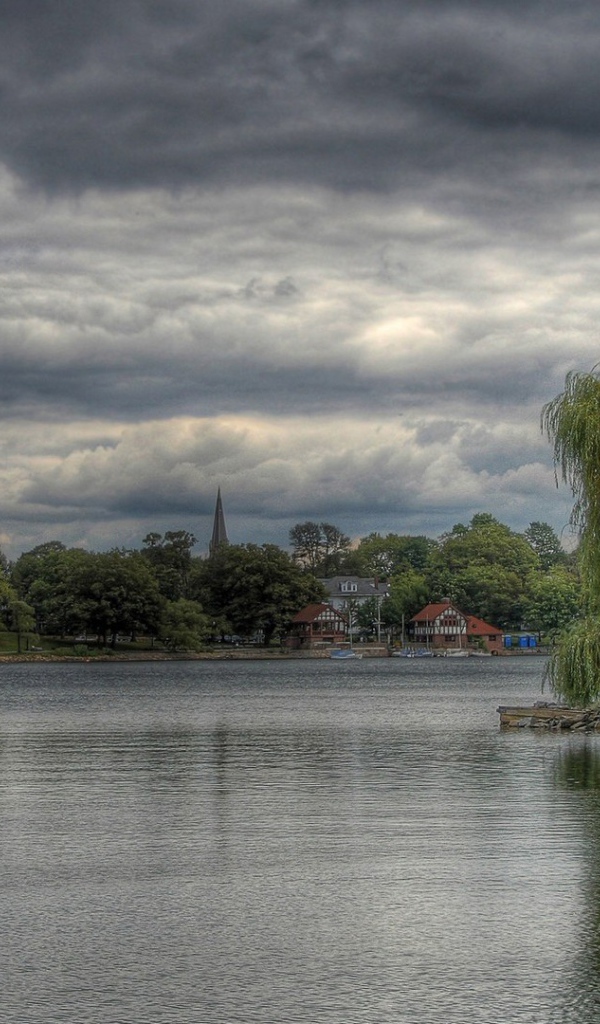 Верба на островке среди озера