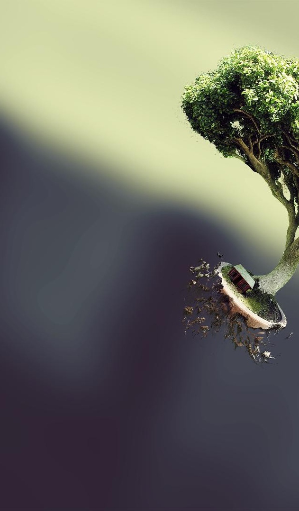 Дерево вырвалось на свободу