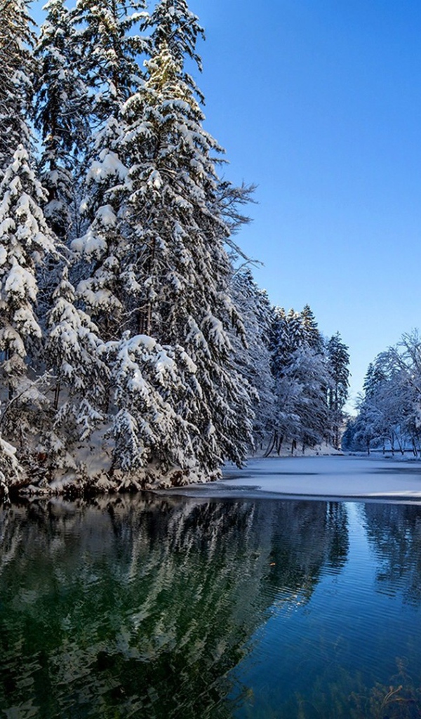 Участок чистой воды на зимней реке