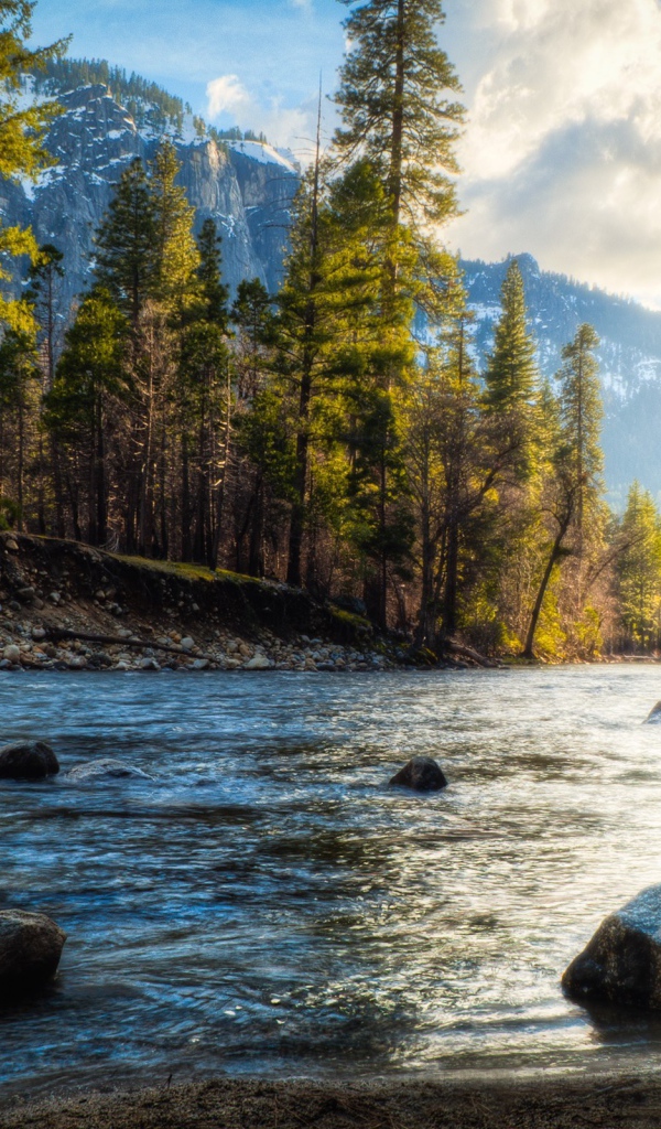 Валуны на берегу реки в лесу