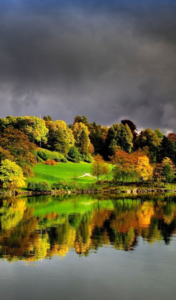 Темные облака над лесом у озера