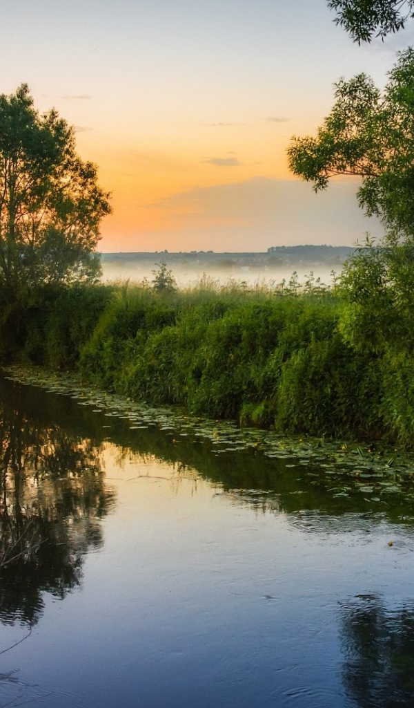 Туман над маленькой рекой