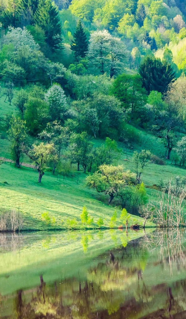 Зеленые склоны гор у озера