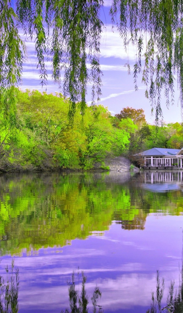 Дом отдыха у озера в лесу