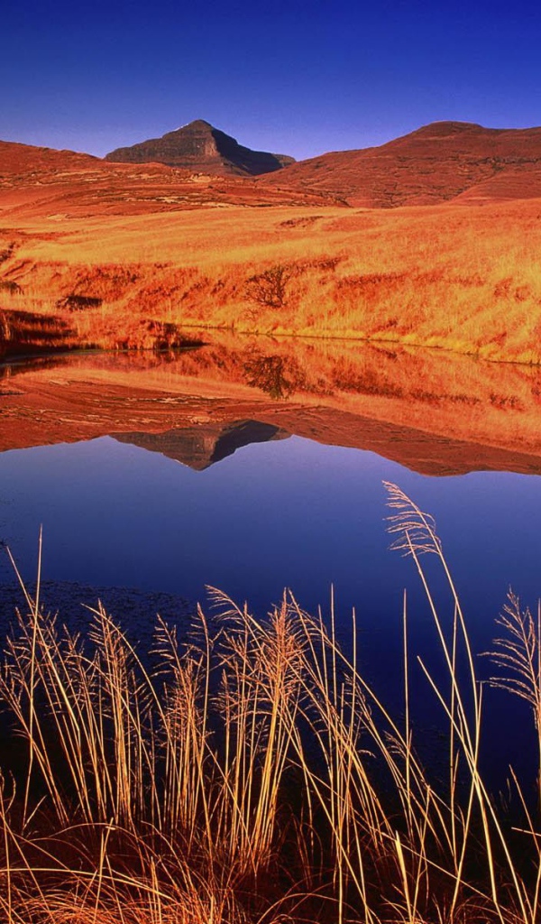 Озерцо с дождевой водой