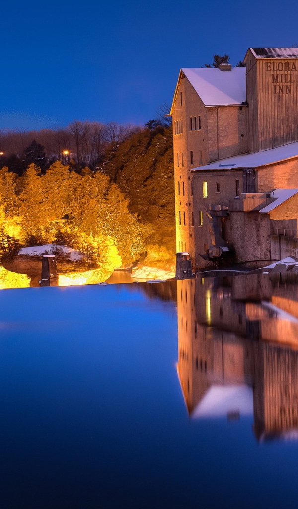 Освещенные деревья на берегу озера
