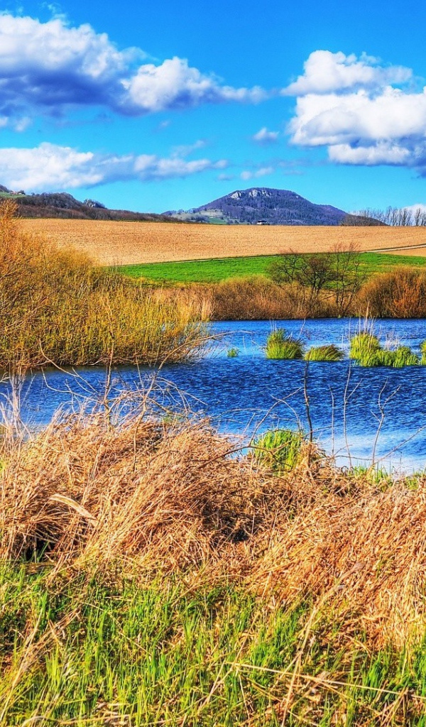 Болотистое место среди полей