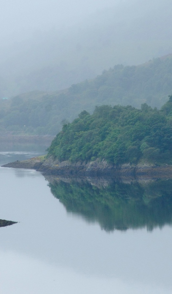 Извилистая река посреди поросших деревьями берегов