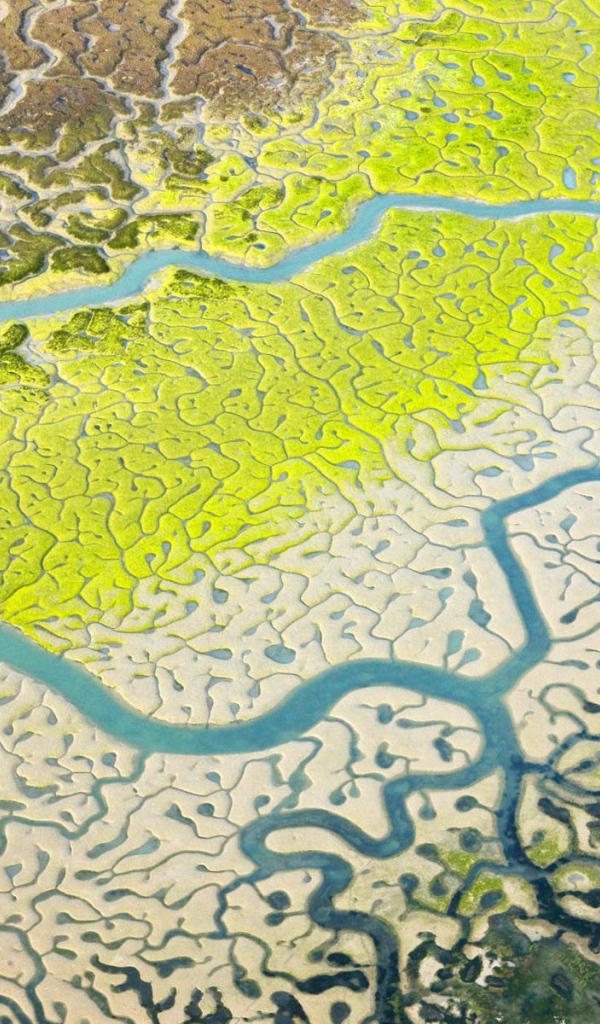 Снимок дельты реки из космоса