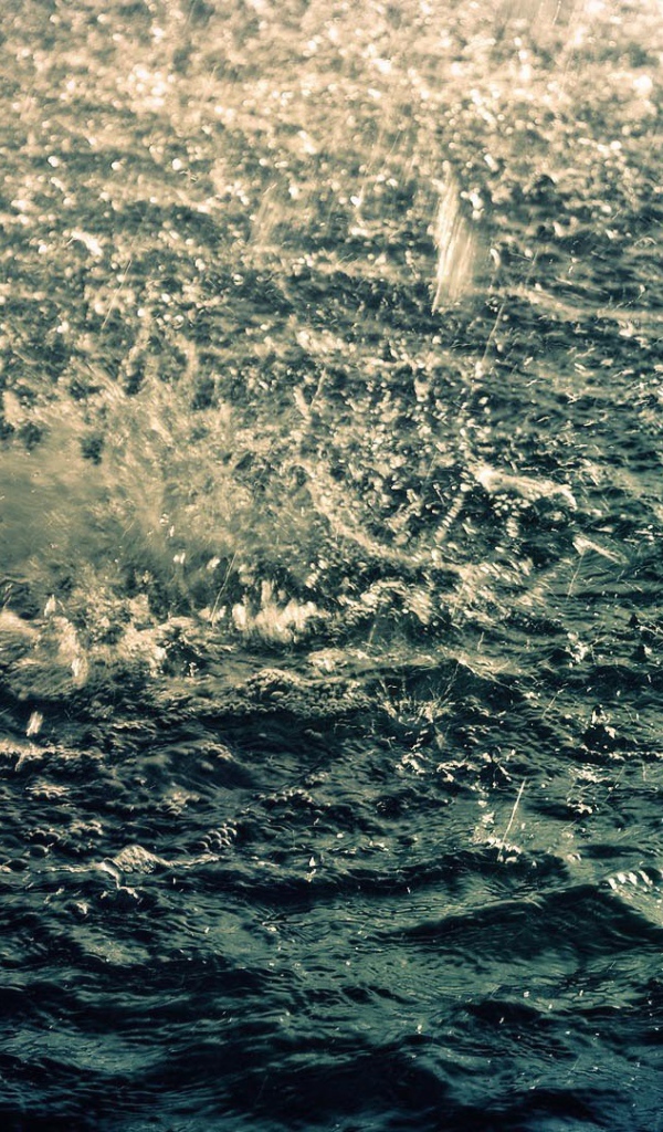 Дождь на озере