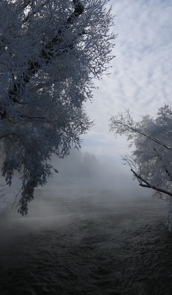 Быстрая река не замерзла зимой