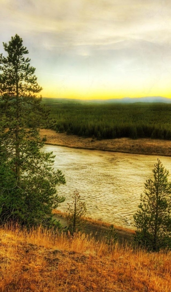 Река в тайге