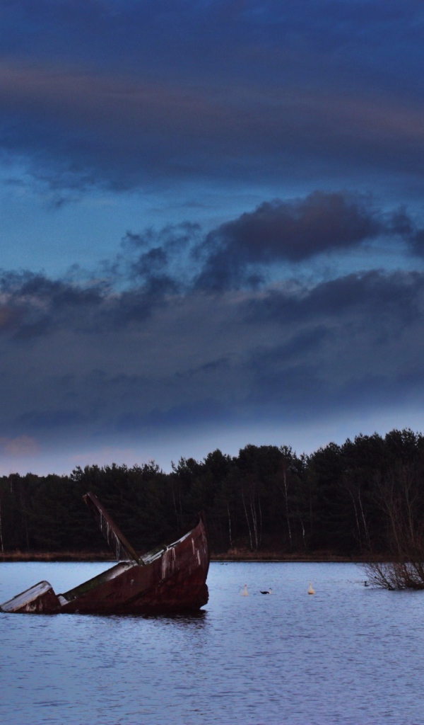 Баржа затонула в озере
