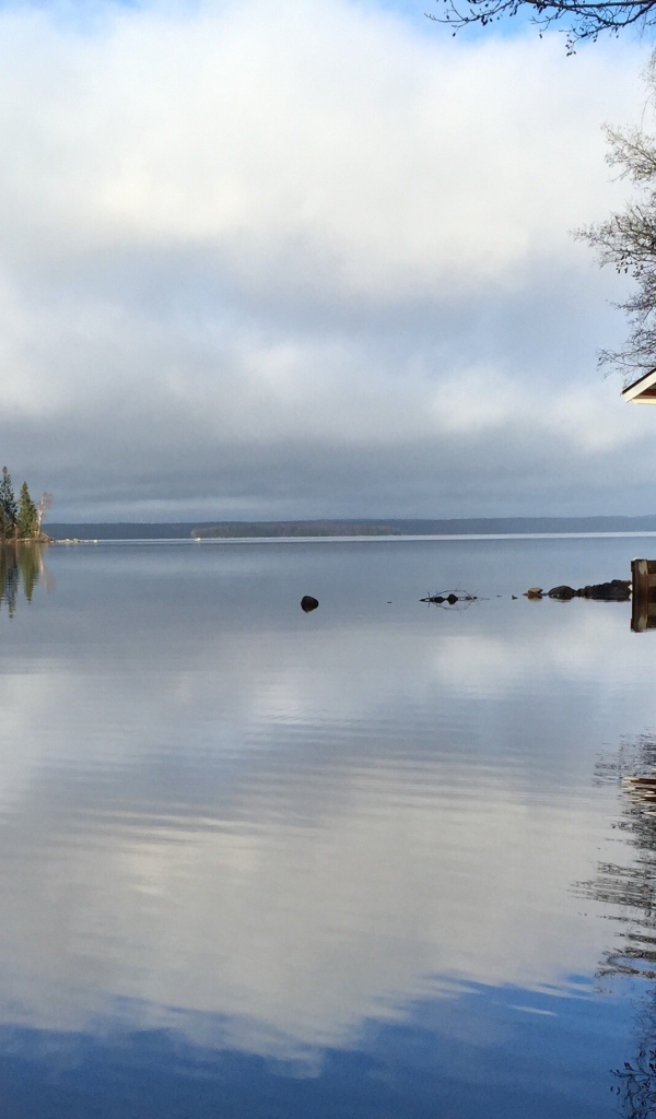 Весеннее половодье на реке