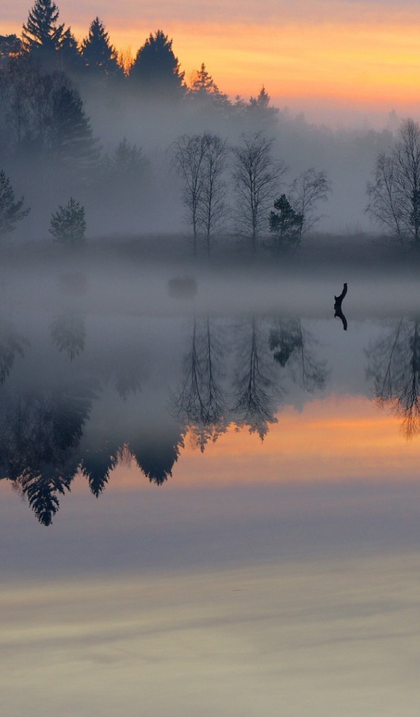 Густой утренний туман над небольшой рекой