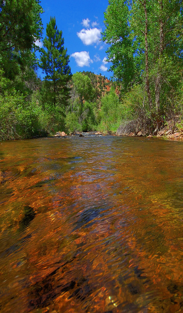 Прозрачная река в горах
